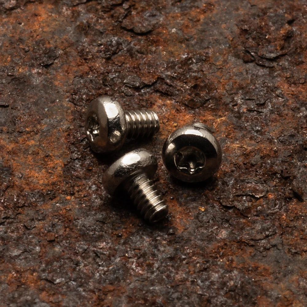 Daily Customs Screws For 91.2 And 91.2+ Model Scales